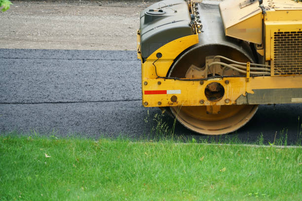 Best Driveway Pavers Near Me  in Pittsburg, TX