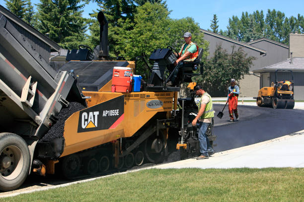 Best Driveway Pavers Near Me  in Pittsburg, TX